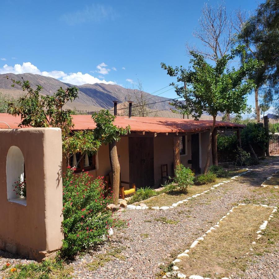 Alta Montana Cabanas Hotel Tilcara Exterior foto